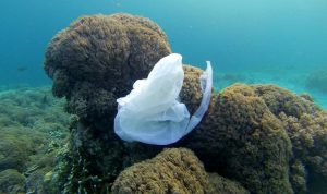 Plastic bag in ocean